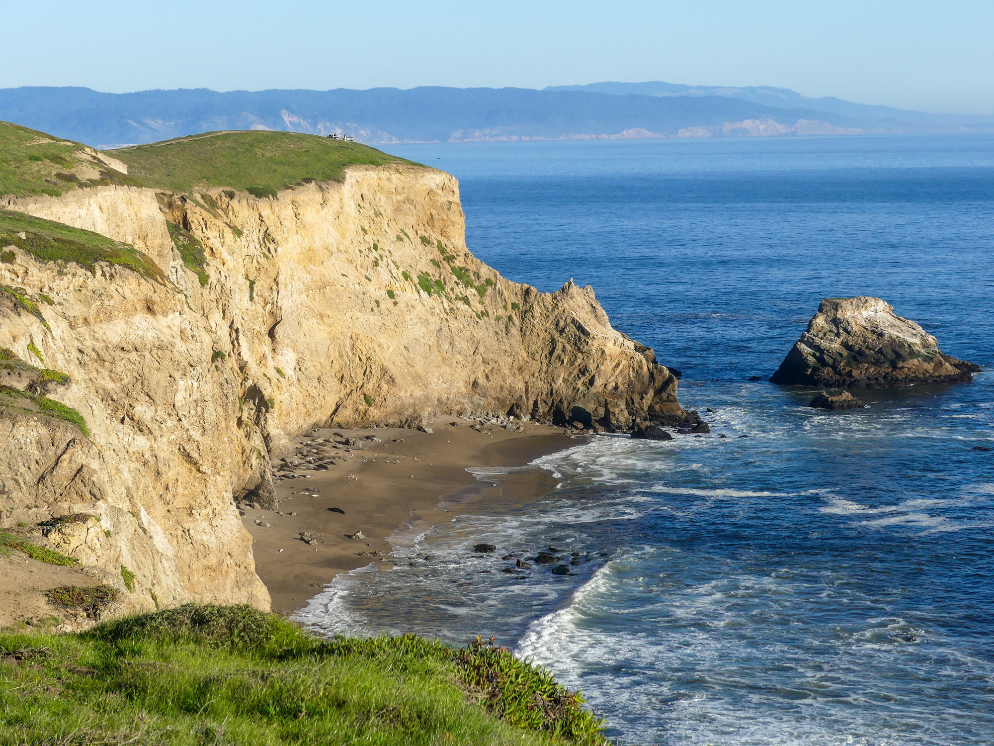 View across steep bluffs of a cluster of elephant seals high up on a small, cliff-backed beach.