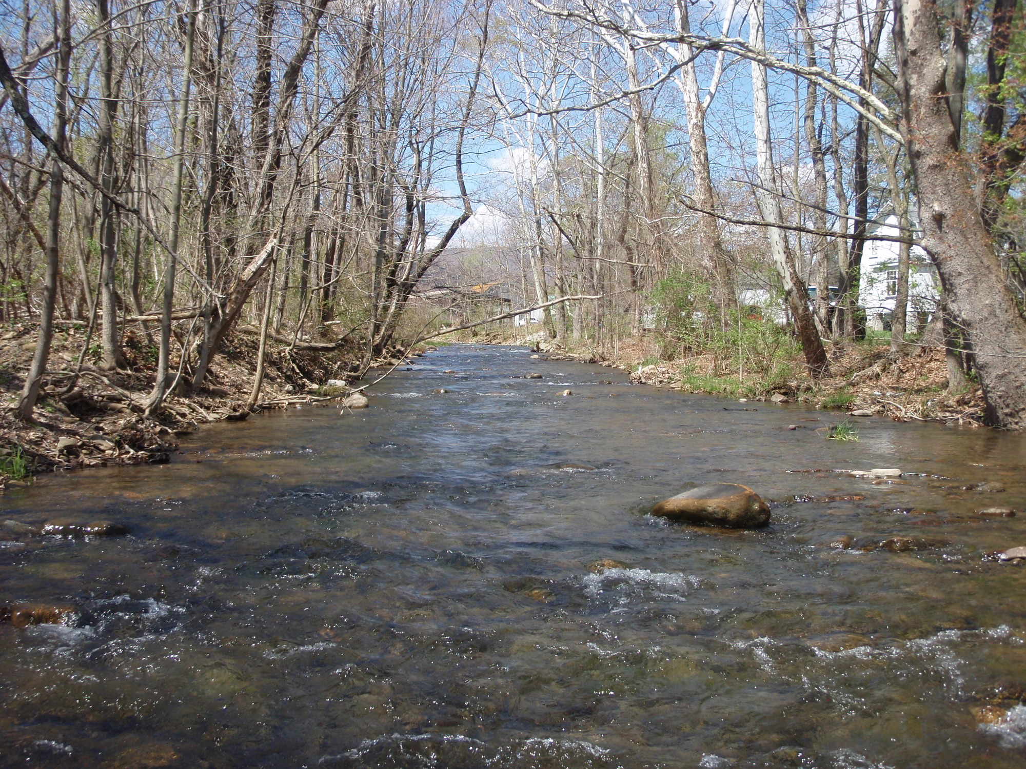 Site visit photo showing the upstream (UP) or downstream (DN) view of a wadeable stream reach taken during benthic macroinvertebrate monitoring at Allegheny Portage Railroad National Historic Site.