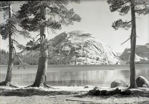 Lake with Lodgepole pines.