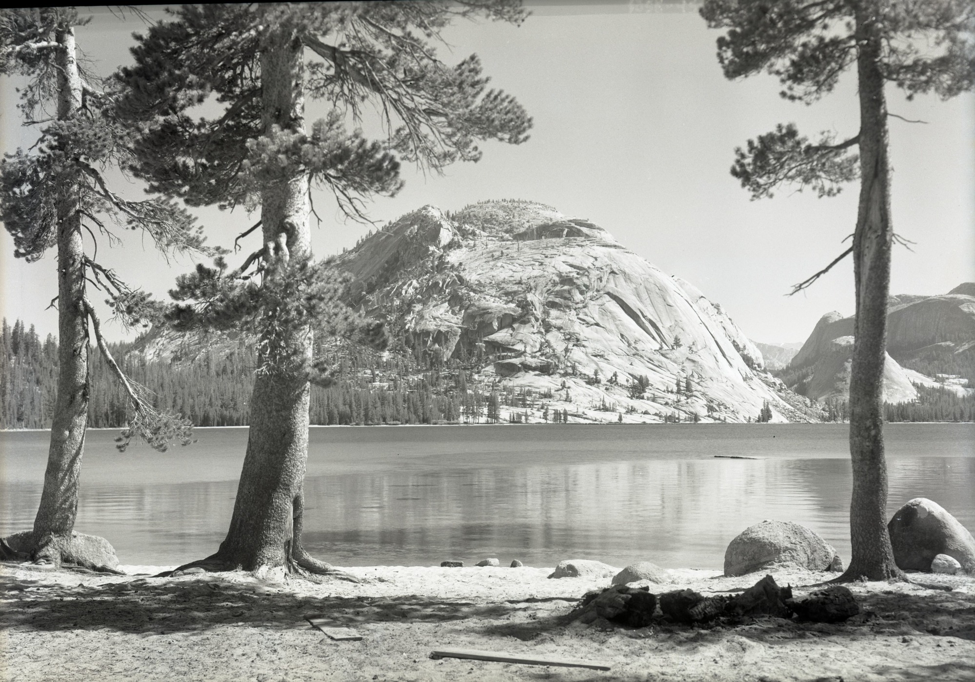 Lake with Lodgepole pines.