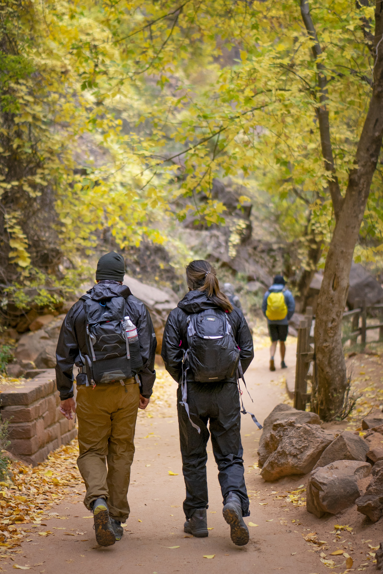 Two hikers walking down the Riverside Walk trail, two other hikers can be seen in the background