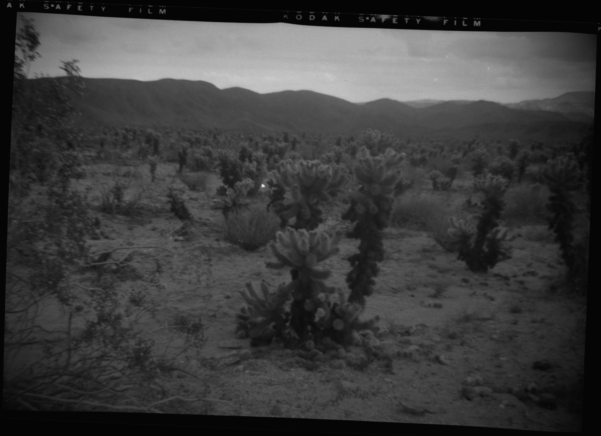 SEKI Roberts Collection Series: 2 Negatives; 10 Outside of the Park
