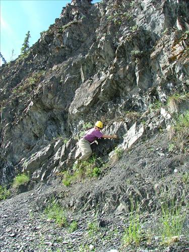 18 Yukon-Charley Rivers National Preserve Peregrine Falcon Survey July 2006