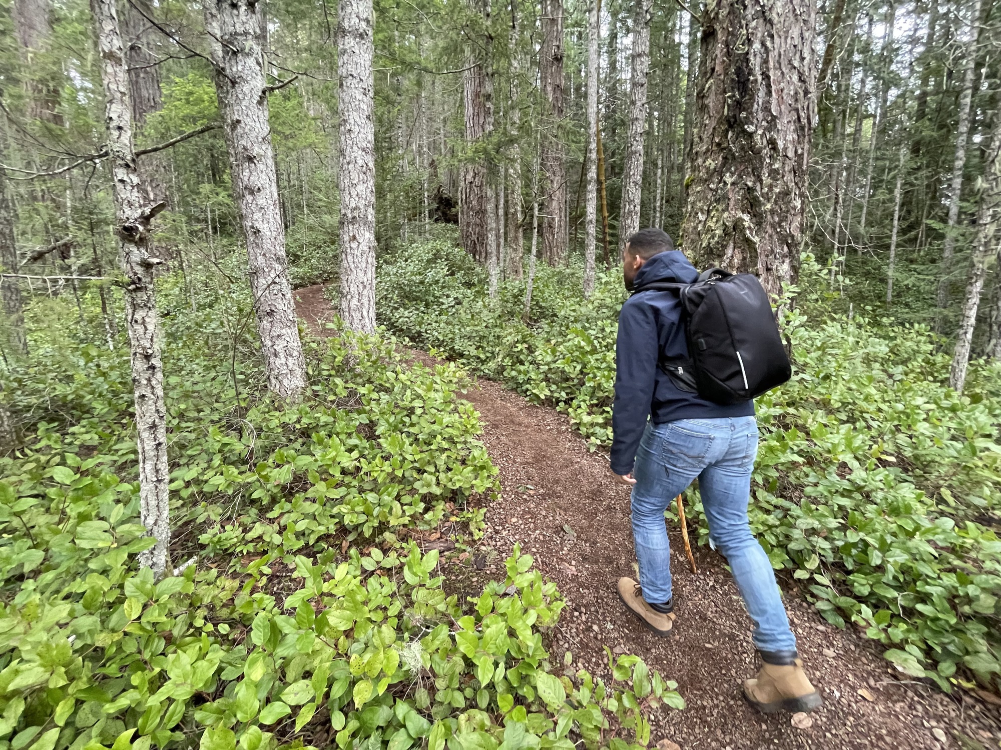 Man walking on path surrounded by forest.