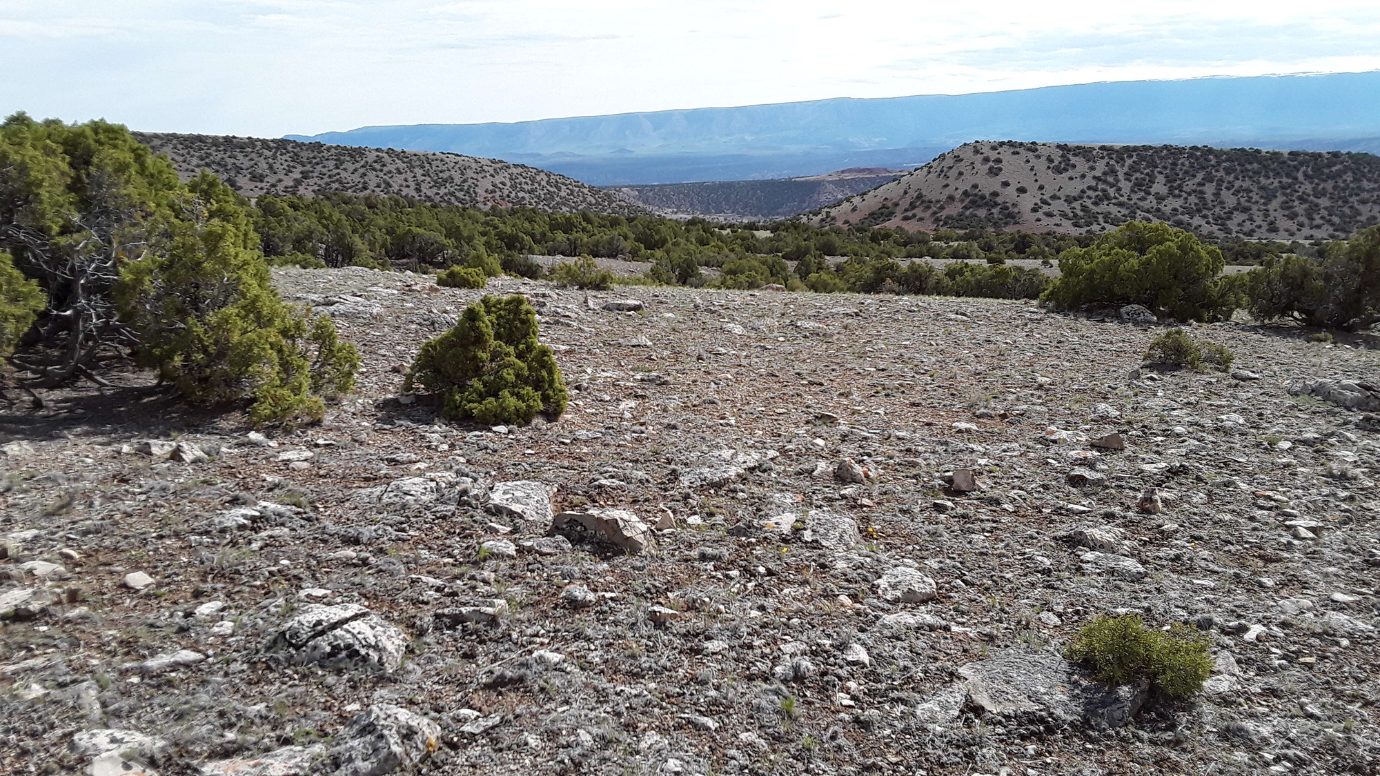Image of the vegetation and landscape at photo point in Bighorn Canyon NRA 