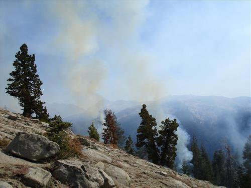 Drip torch ignition on Highbridge Prescribed Burn, Sequoia and Kings Canyon National Parks, October 2005