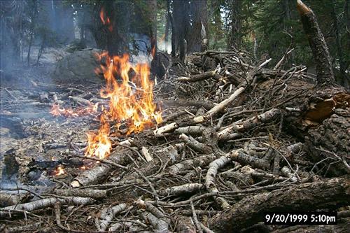 Dark Wildland Fire, July-September 1999, Yosemite National Park