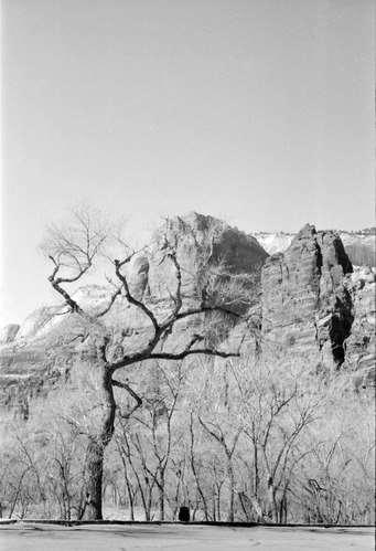 BW Photos of Lady Mountain - 35mm.
