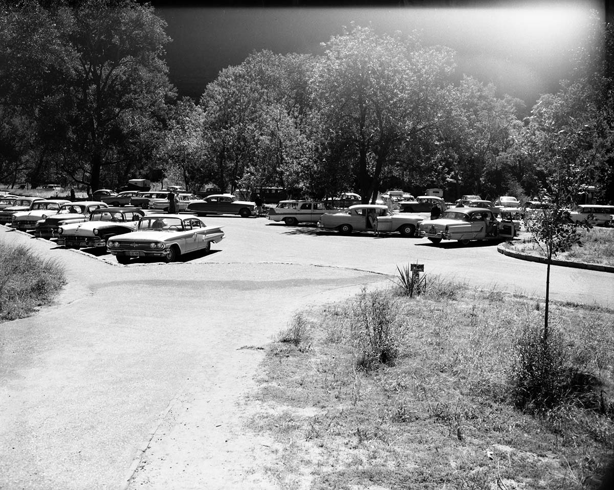 Visitor use - the filled parking area at Temple of Sinawava.
