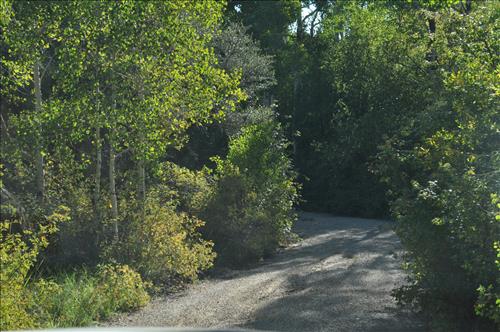 Cyclic Roads Brushing Needs
