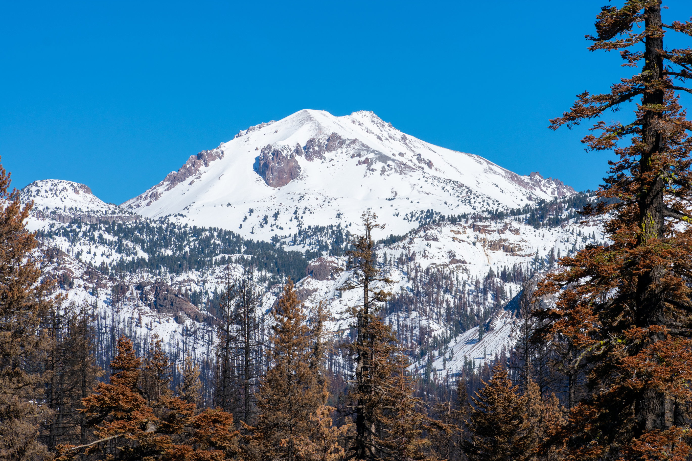 A photo zoomed in on a snow-covered volcanic peak. Burned trees frame the bottom and sides of the image.