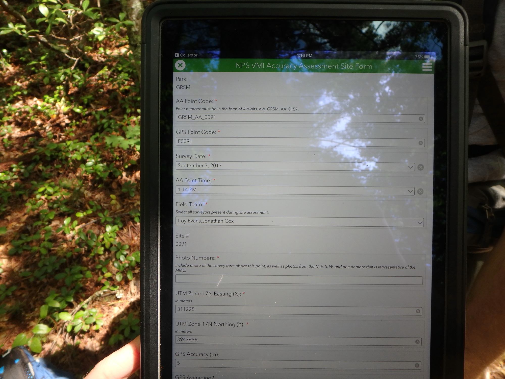 GRSM Accuracy Assessment. Plot Code: GRSM_AA_0091_1