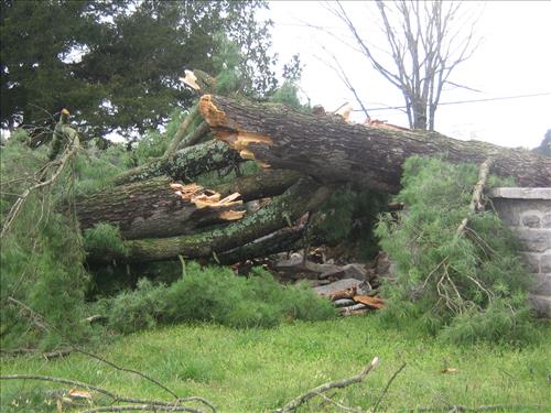 Tornado Damage at Stones River National Battlefield in April 2009