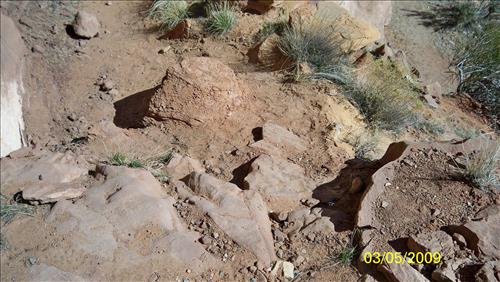 Park Trails - Perform Preventative Maintenance