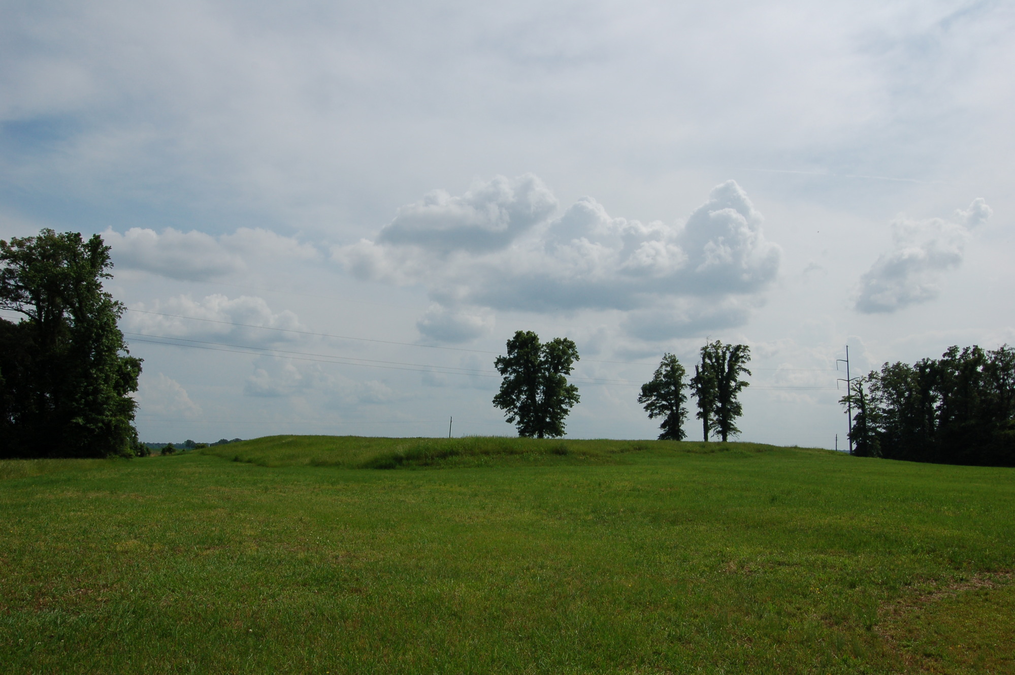 a landscape view of a grassy hill.