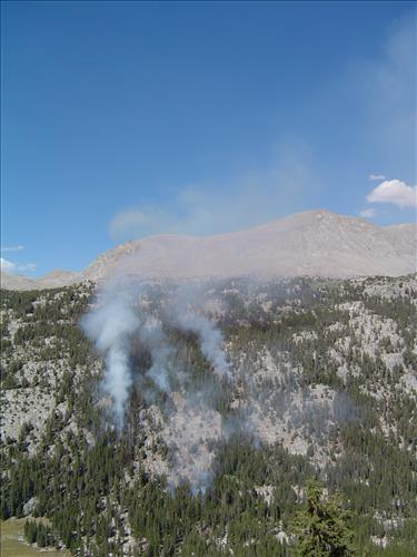 McClure wildfire used for resource benefit, Sequoia and Kings Canyon National Parks, summer 2004