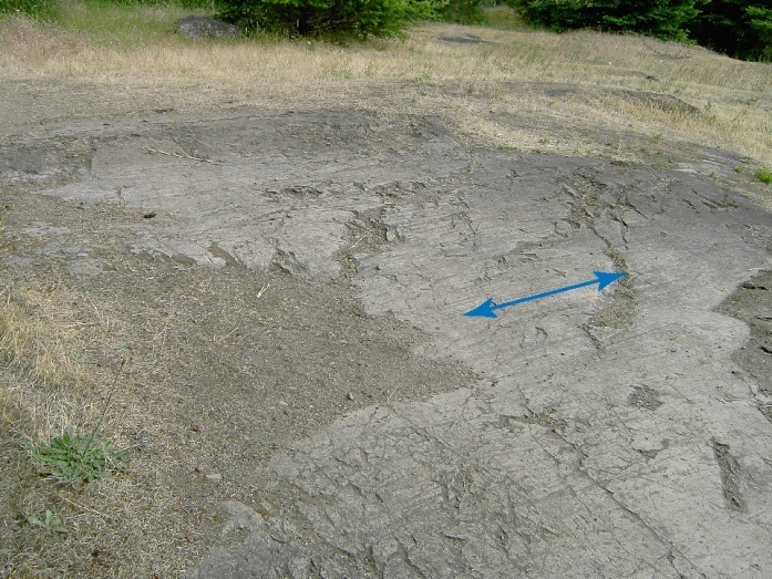 Photo of rocky ground surface with glacial striations (parallel groves) and glacial polish.
