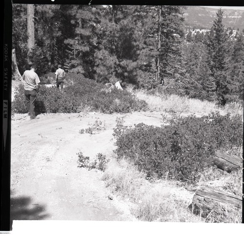 Chief Park Ranger Nick Nicholson and Park Superintendent Robert C. Heyder surveying the illegally constructed dirt road from Potato Hollow to Kolob Creek showing the bulldozer graded road section on park land.