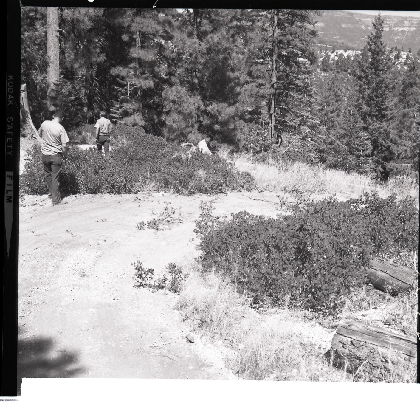 Chief Park Ranger Nick Nicholson and Park Superintendent Robert C. Heyder surveying the illegally constructed dirt road from Potato Hollow to Kolob Creek showing the bulldozer graded road section on park land.