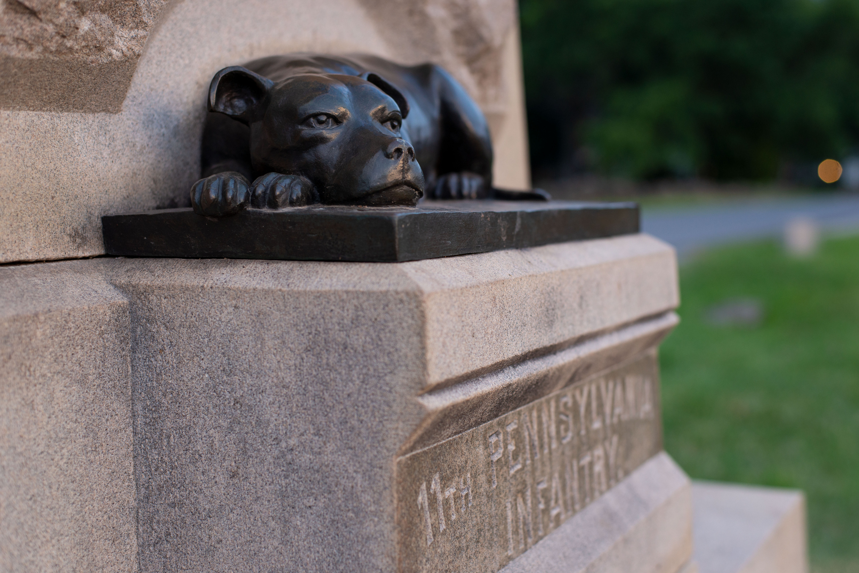 A dark bronze statue of a dog laying down and looking ahead.