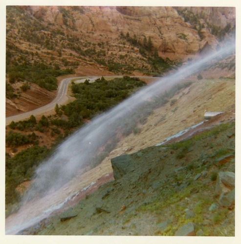 Color photo of the hydroseeding experiment along the Kolob Canyon Road.