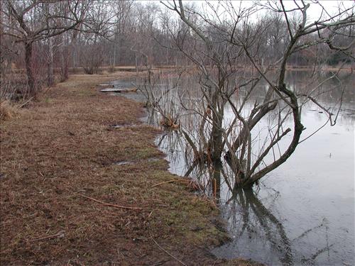 KEAQ YPP 2009 PMIS154684 Kenilworth Aquatic Gardens - SCA Conservation Crew