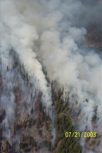 Views of Trapper Fire, Glacier National Park