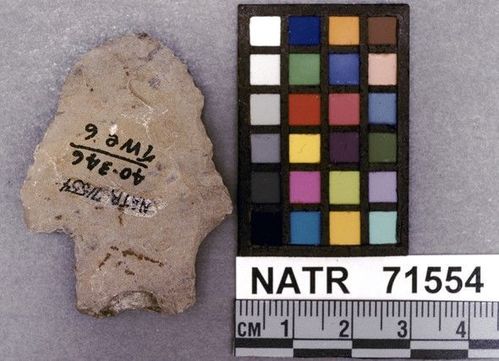NATR   71554 -- Ledbetter Cluster projectile point