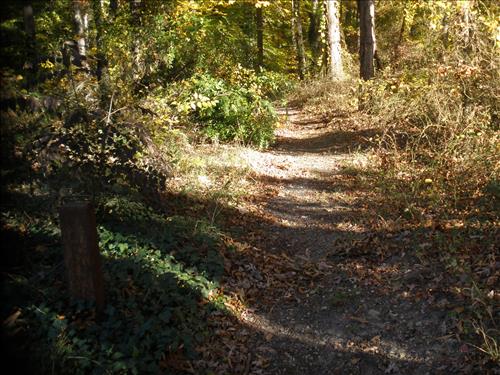 Ft. Circle Trails Stabilization and Maintenance, March 2011