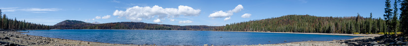A panoramic photo of a blue lake lined by conifer forest affected by a recent wildfire below a blue sky with fluffy white clouds.