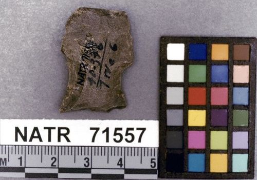 NATR   71557 -- Lowe projectile point