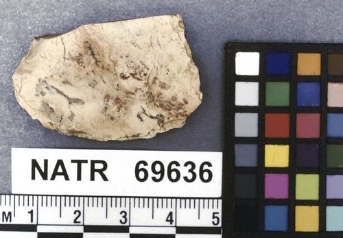 NATR   69636 -- Untyped projectile point