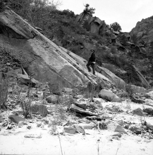 Dinosaur tracks in slabs of Kayenta formation.