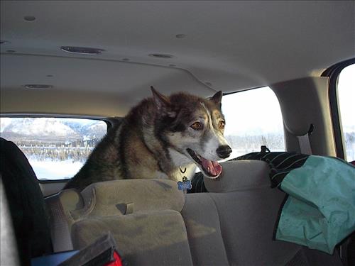 3 Gates of the Arctic National Park and Preserve Hares Survey Winter 2006