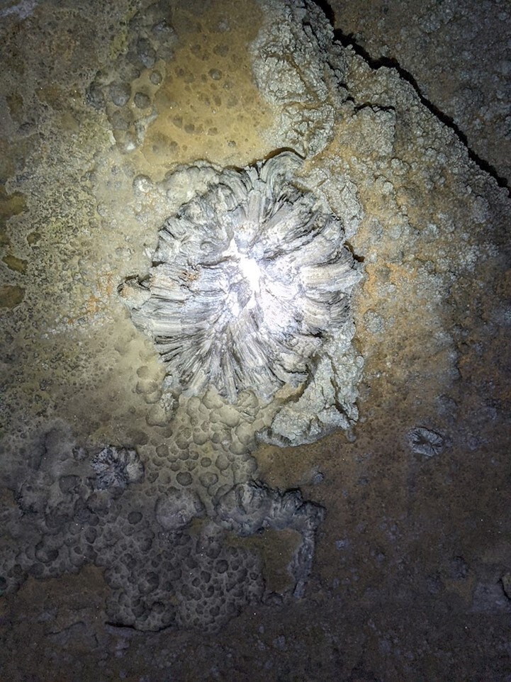 A close-up view of a gypsum flower formation. 