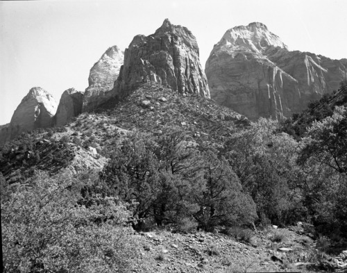 Habitat record of pinyon woodlands.