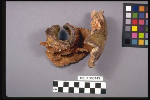 BISC  300149 -- Sword