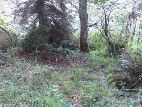 Orick Valley Elk Fence Condition