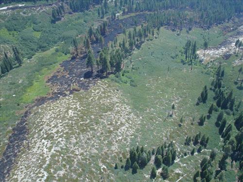 Images of the Comb Complex wildland fire use project taken from park helicopter, Sequoia and Kings Canyon National Parks, summer 2005
