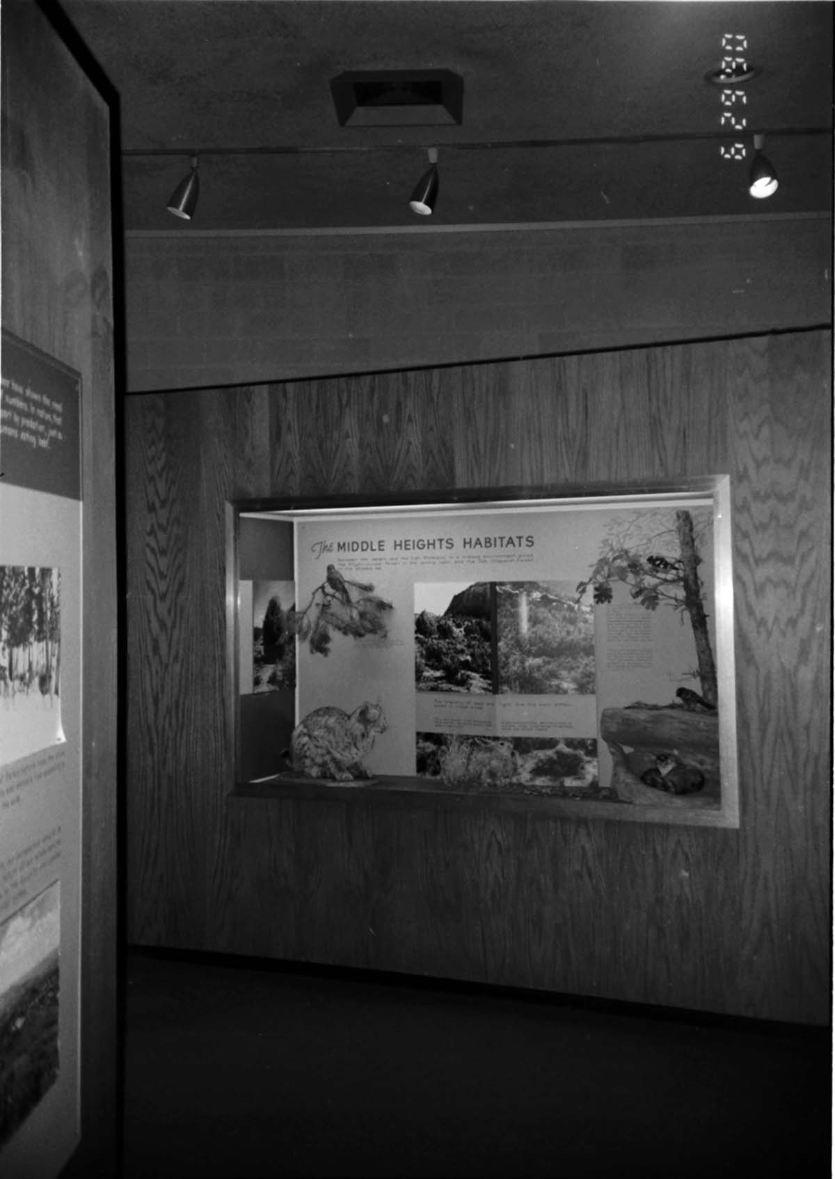 Interpretive display in the old Mission 66 Visitor Center and Museum.