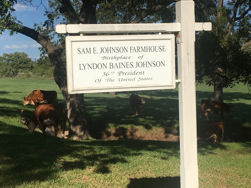 A white sign with text "Sam E Johnson Farmhouse, Birthplace of Lyndon B. Johnson, 36th President of the United States" hangs from a post with grazing cattle in the background.