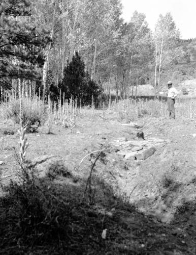 Check dams in Potato Hollow.