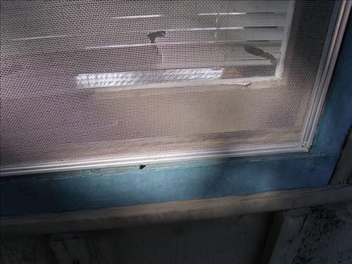 Condition of doors and windows in Apartment Buildings # 429 at the Headquarters housing area in Rocky Mountain National Park, March 2009.