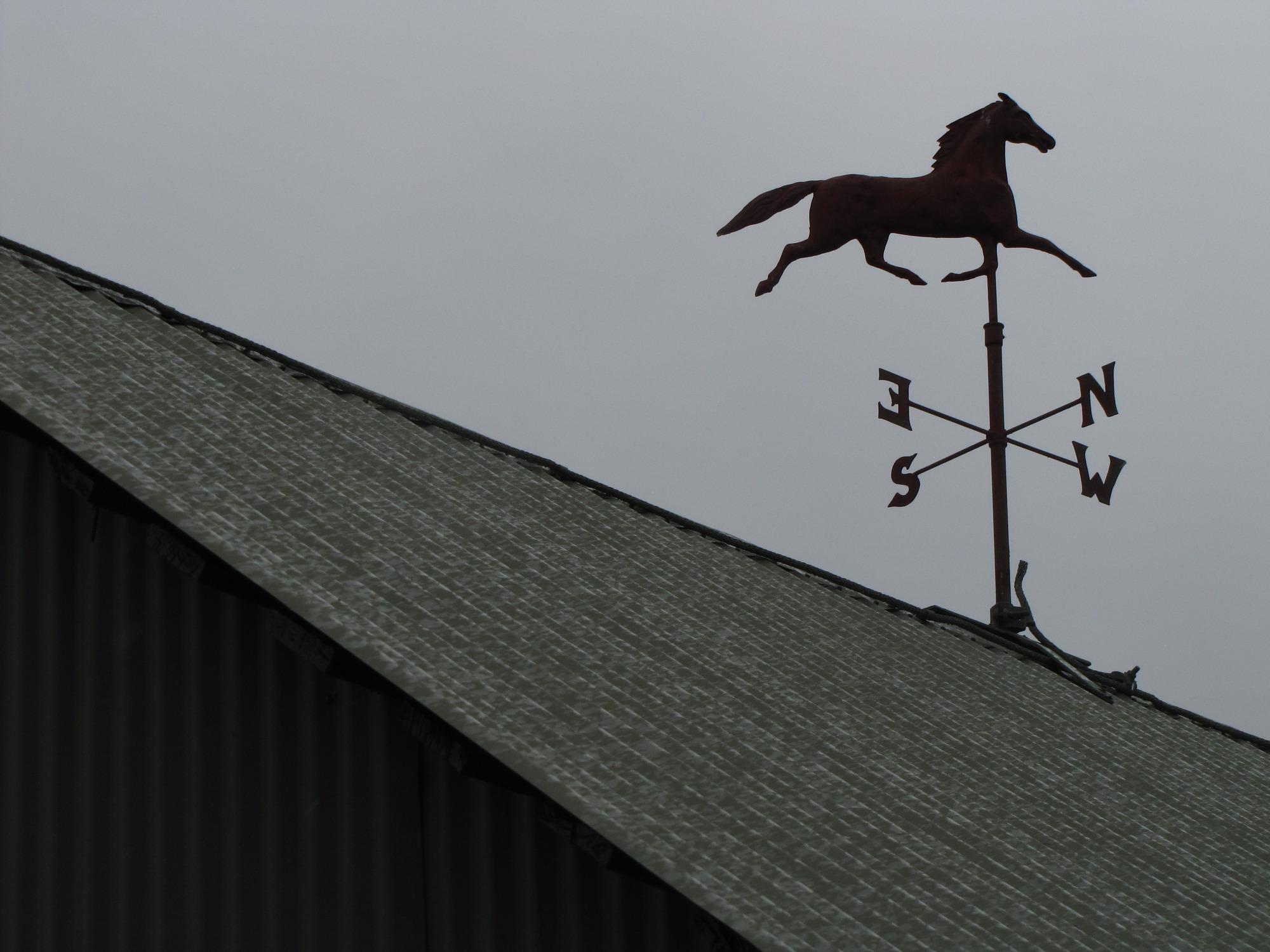 A red horse weather vane sits atop a dark green rooftop.