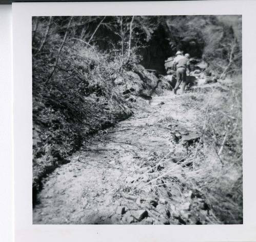 Workers repairing trail damage on the Hidden Canyon trail.