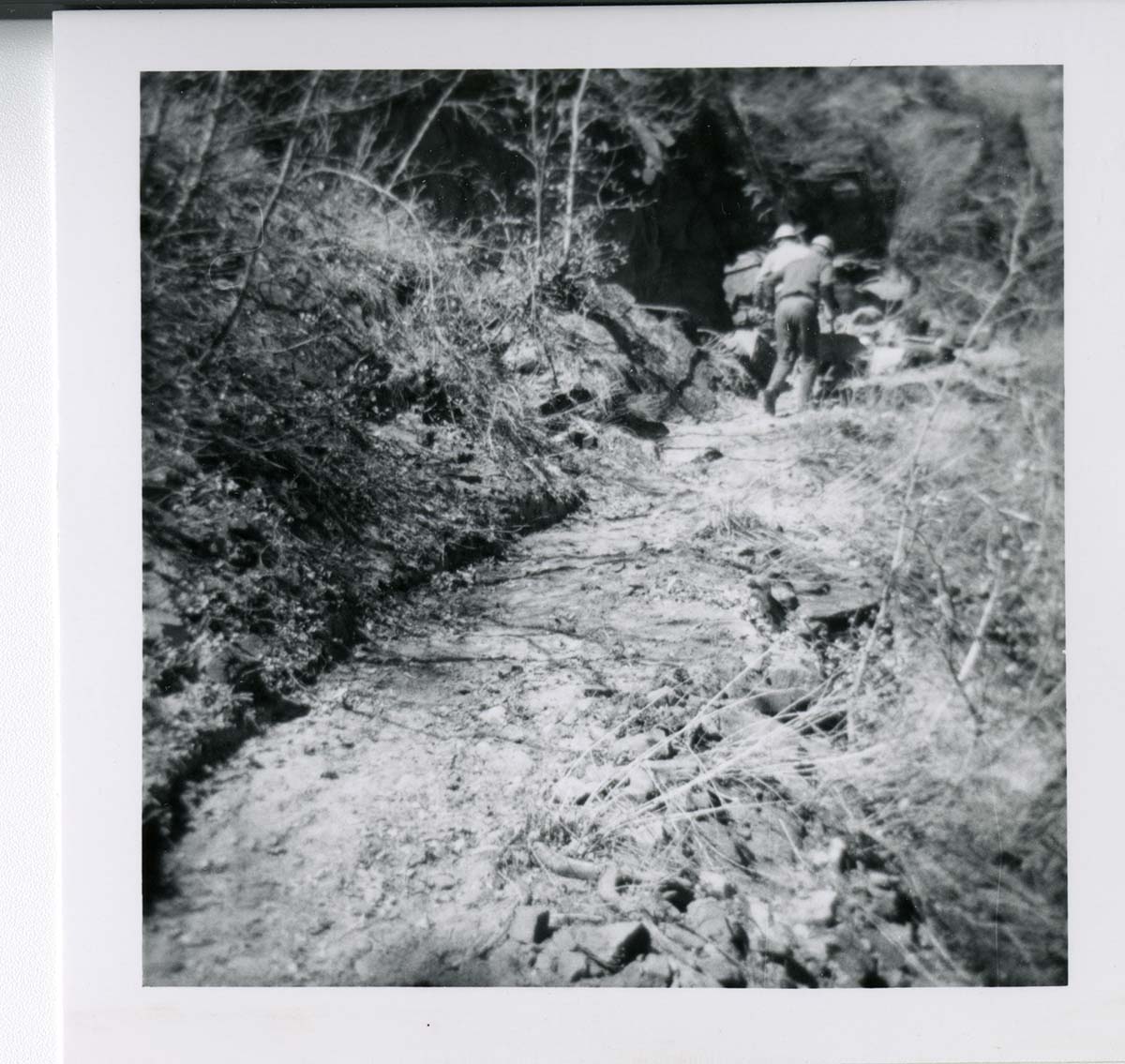 Workers repairing trail damage on the Hidden Canyon trail.