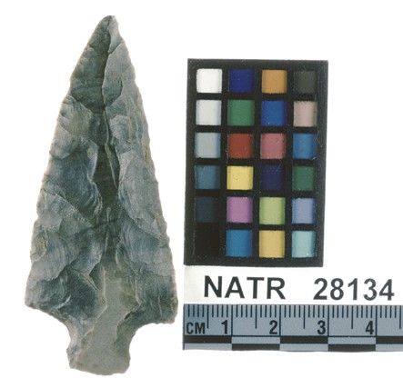 NATR   28134 -- Ledbetter Cluster projectile point