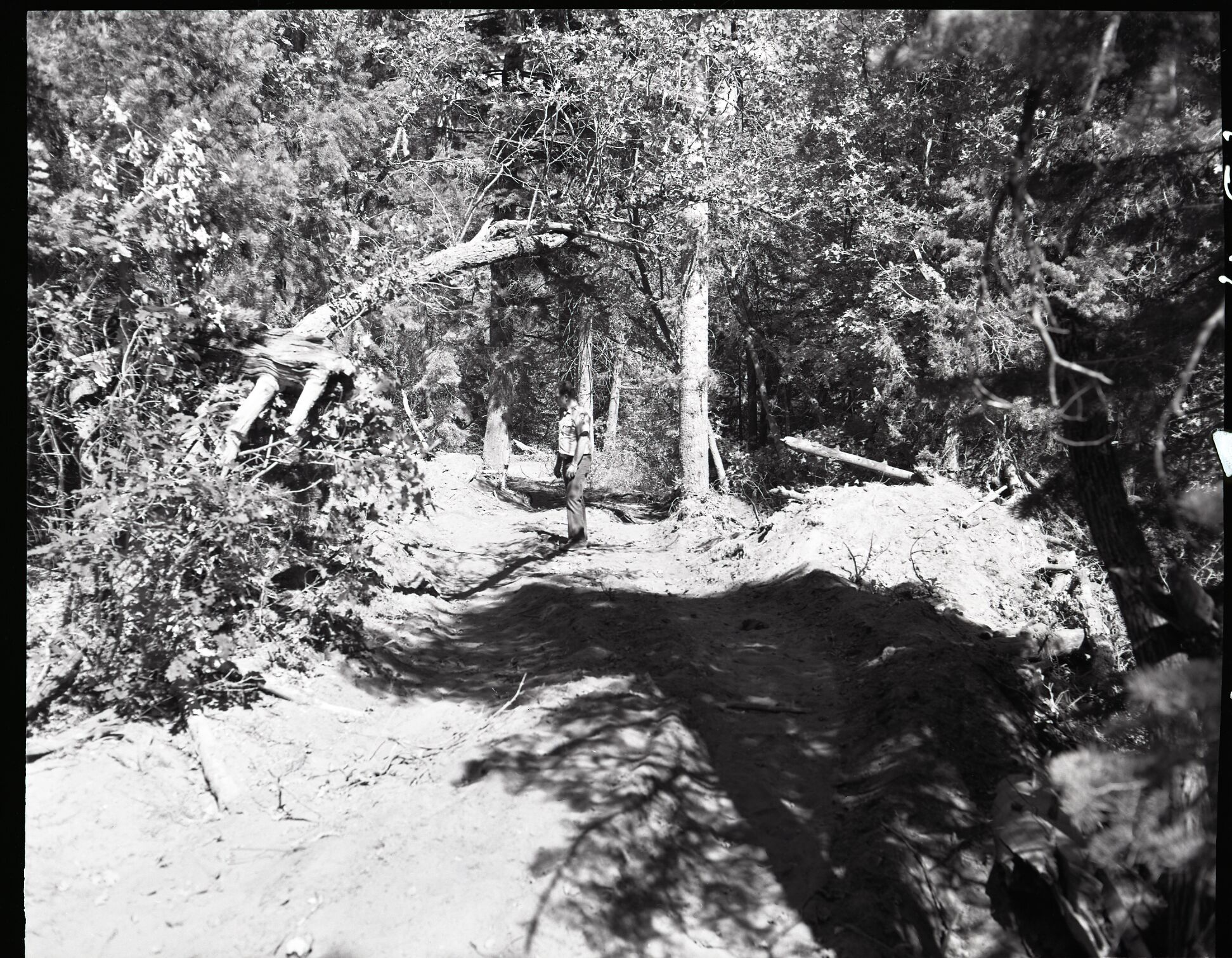 Dirt road from Potato Hollow to Kolob Creek with a pile of road dirt left near end of roadwork.