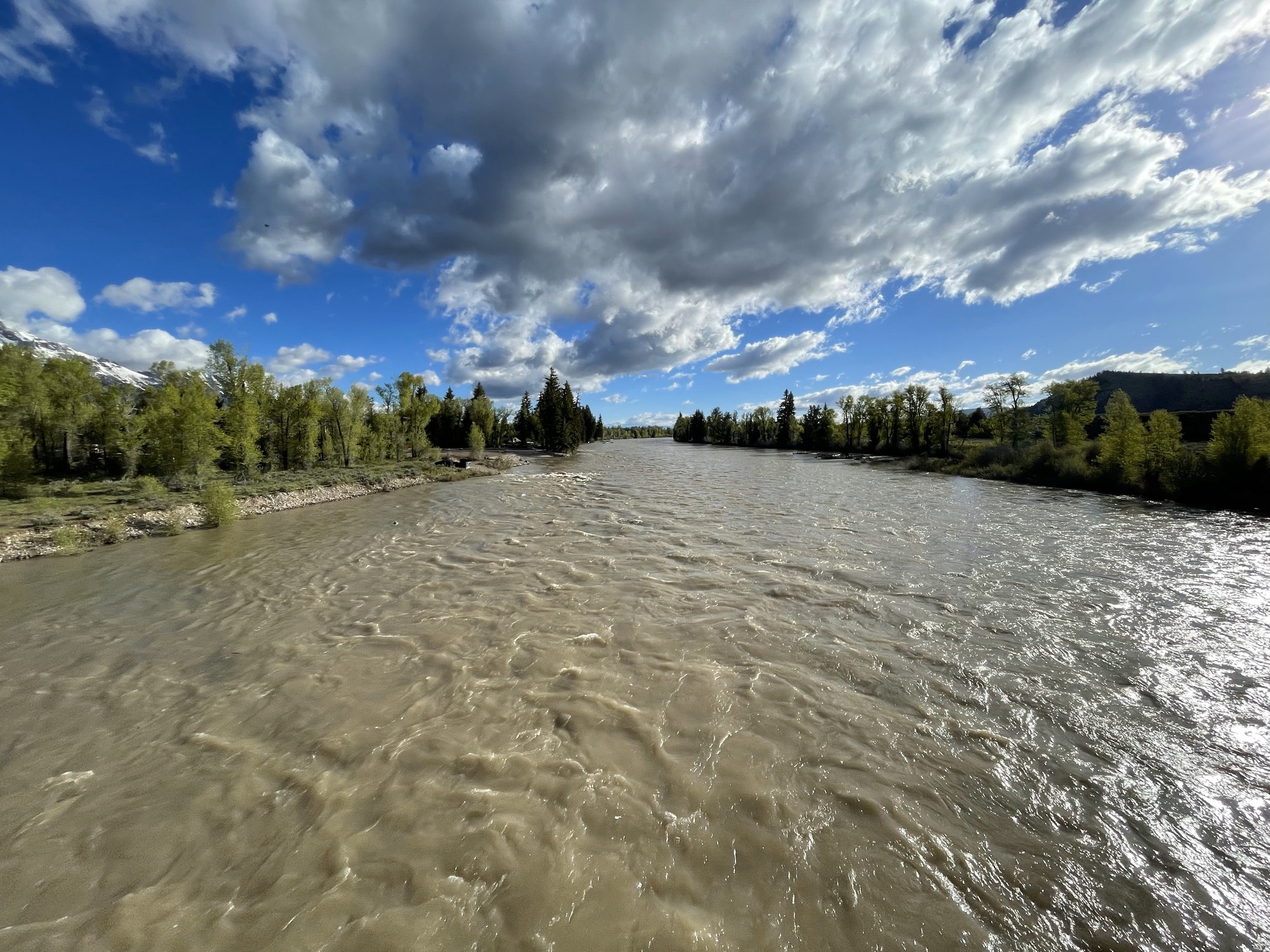 Snake River at Moose, WY looking upstream, June 5, 2024.