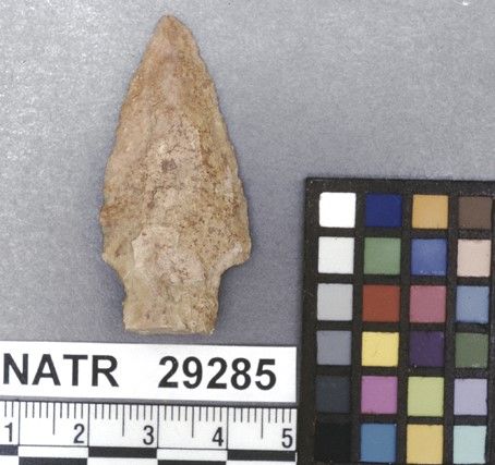 NATR   29285 -- Dickson Cluster projectile point